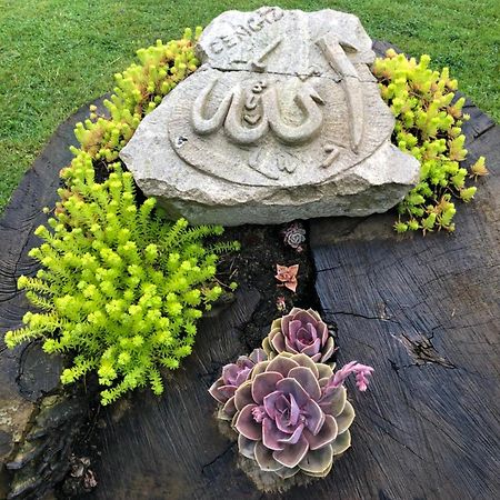 Happyhobbit Forest, Lake View, Fireplace , Jakuzi ,In Sapanca Extérieur photo