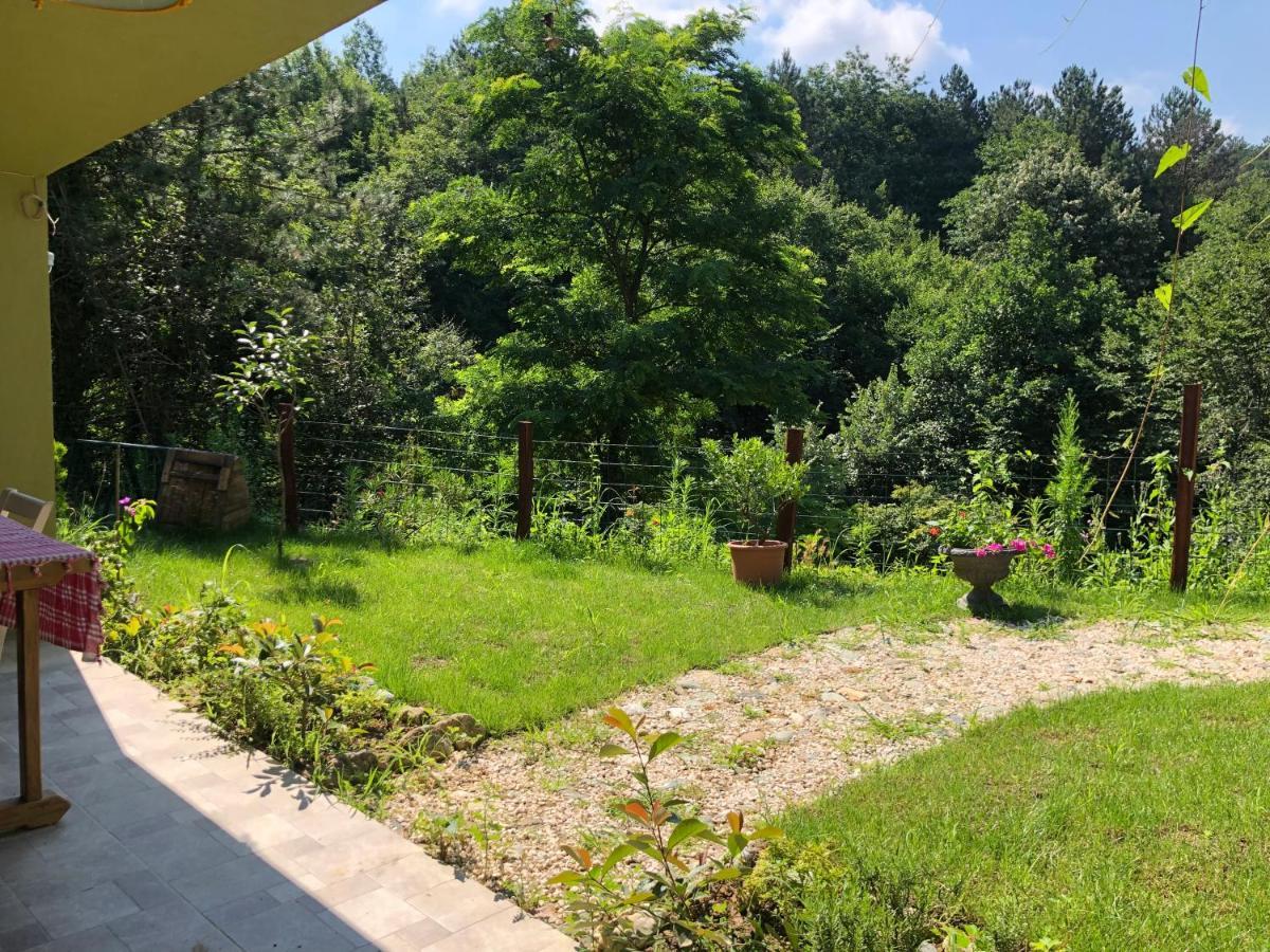 Happyhobbit Forest, Lake View, Fireplace , Jakuzi ,In Sapanca Extérieur photo