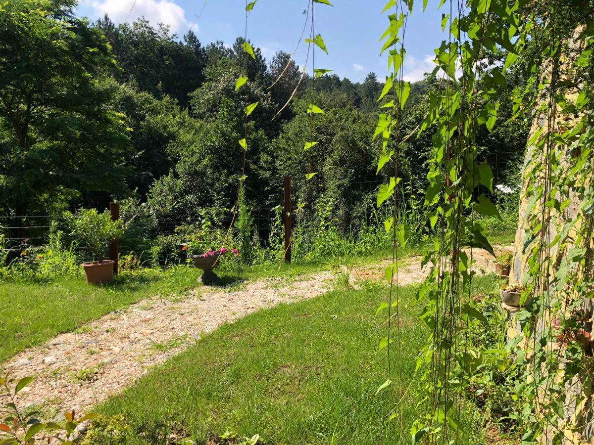 Happyhobbit Forest, Lake View, Fireplace , Jakuzi ,In Sapanca Extérieur photo